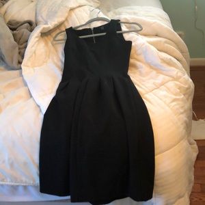 J Crew dress